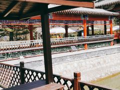 -尚庄度假村·庭台树下·户外烧烤·团建CS·轰趴营地(上庄水库店)
