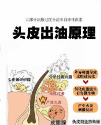 -Bollins波林丝•专研护发中心