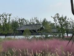 -上海滨江森林公园
