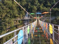 -九龙江国家森林公园