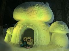 -沈阳奥体冰雪嘉年华