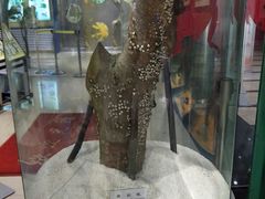 -上海昆虫博物馆