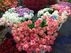 -循礼门鲜花花市(武汉循礼门店)