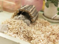 -龙猫仔乐园(惠福东路店)