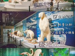 -中国湿地博物馆