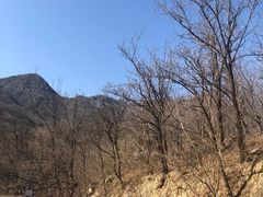 -阳台山自然风景区