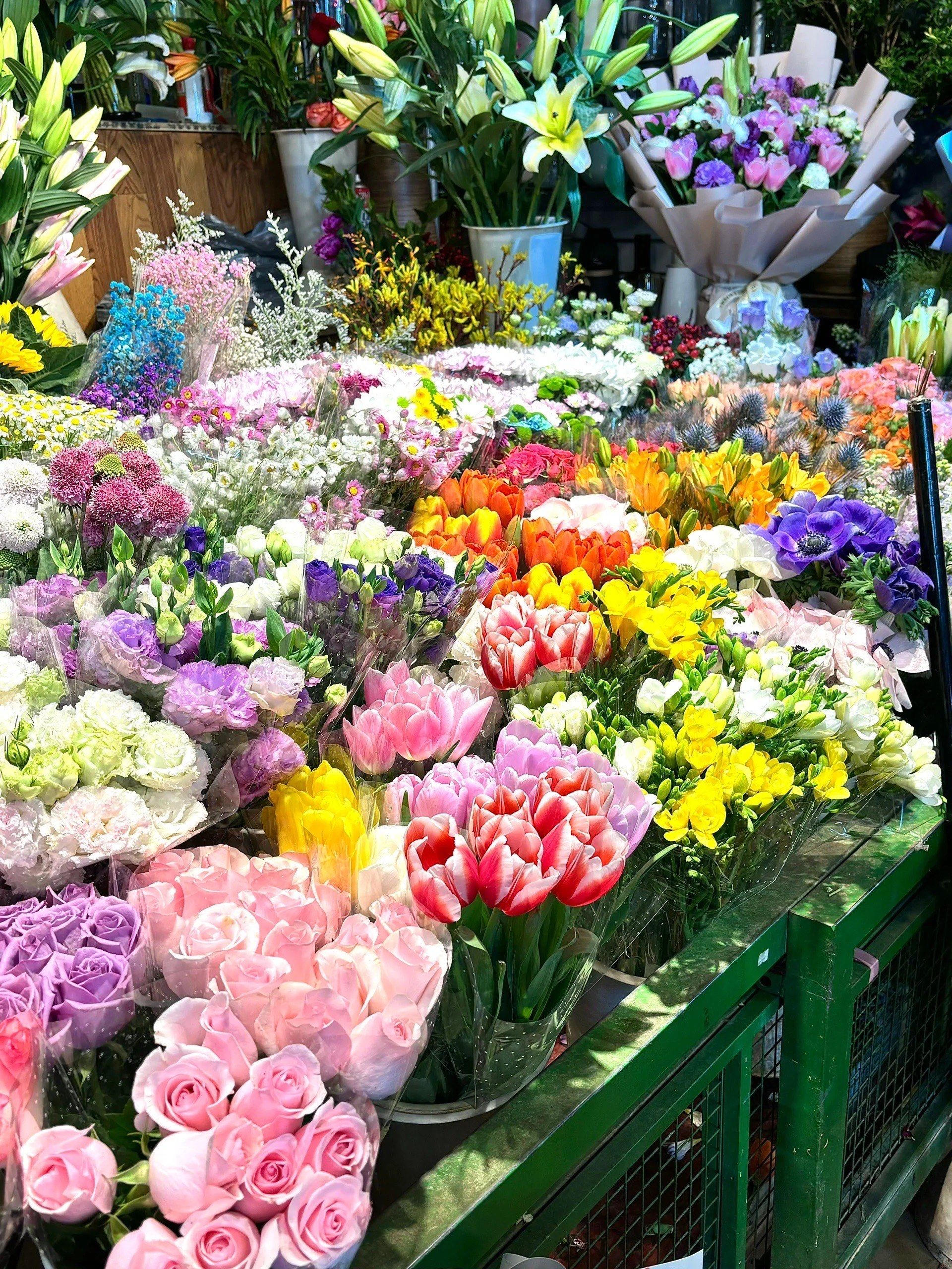 北京.周末好去处