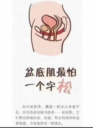 -梵恩诗产后恢复中心(望京麒麟店)