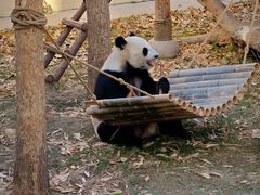 -石家庄市动物园