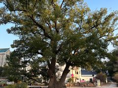 -清漾毛氏文化村