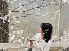 -北京山里寒舍度假酒店