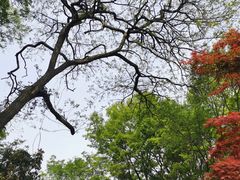 -南京市江宁方山
