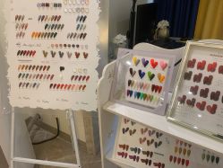 -星漾美学美容美体中心