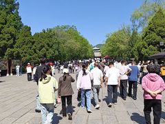 -晋祠公园