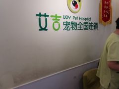 -艾吉宠物医院·疑难杂症转诊中心·猫友好(碧江路院)