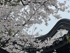 -巡塘古镇