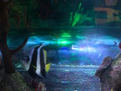 -沈阳海洋探索中心