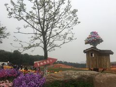 -秀丽东方