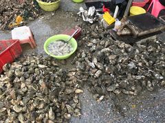 -霞涌市场海鲜摆卖区