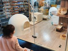 -宠物世家(仲盛世界商城店)