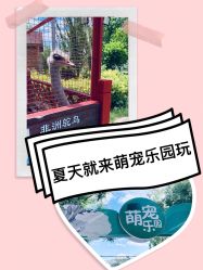 -萌宠亲子动物乐园(槐房万达店)