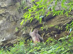 -三峡人家风景区
