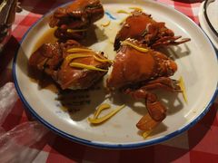 -陶缘一号·四季缘·老字号顺德菜·户外婚礼家宴(西滘店)