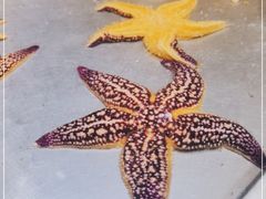 -恒达综合农贸市场(黄山路店)