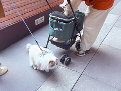 -瑞虹新天地月亮湾