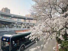 -南浦大桥长途旅游客运站