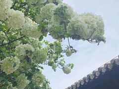 -常熟方塔园