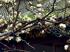 -万寿八仙宫