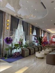 -深圳美莱医疗美容医院