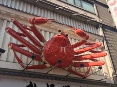 -蟹道乐(道顿堀本店)