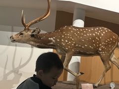 -陕西自然博物馆