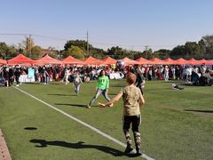 -上海英国外籍人员子女学校(浦西校区)