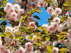 -长白岛森林公园