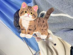 -永宁台球·棋牌俱乐部(淮海路店)