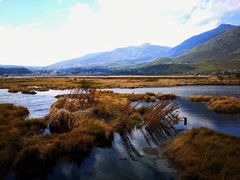 -腾冲北海湿地