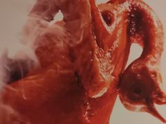 -豫满楼(正光路店)