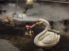 -白天鹅宾馆·流浮阁咖啡厅