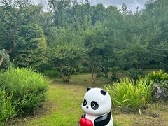 -东湖落雁景区