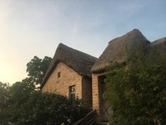 -海草馆自助餐厅(悦海店)