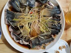 -煲来饱去冷水鱼