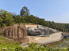 -三水森林公园