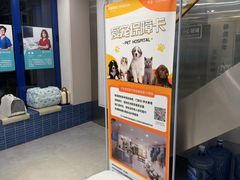 -伟伟宠物医院·CT影像中心·瑞派犬猫综合性门诊(汉口总院)