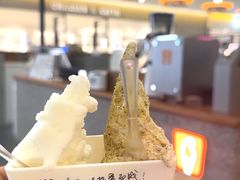 -野人先生Gelato(上海长宁龙之梦店)