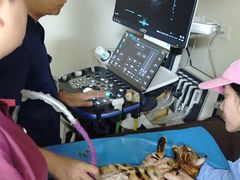 -美联众合动物医院·24h京西诊疗中心