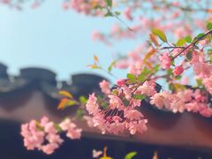 -尚湖风景区