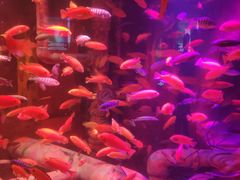 -沈阳海洋探索中心